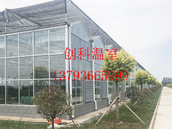 玻璃連棟溫室大棚如何選擇玻璃？